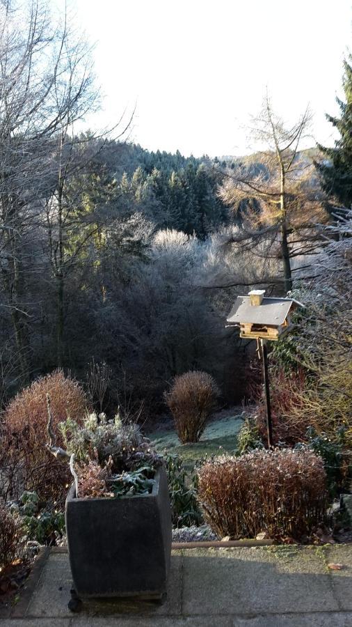Perlenbachtal Apartment Monschau Exterior photo