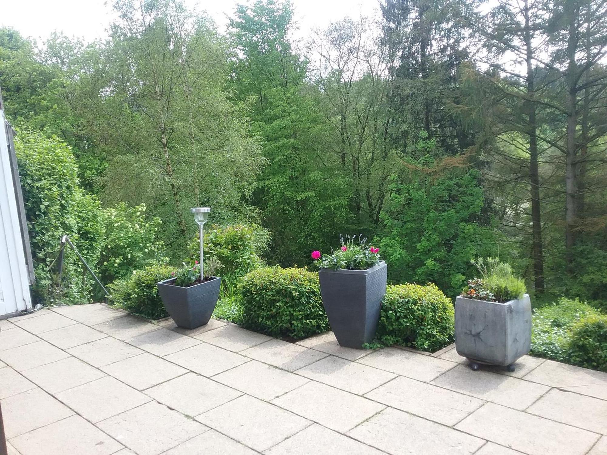Perlenbachtal Apartment Monschau Exterior photo